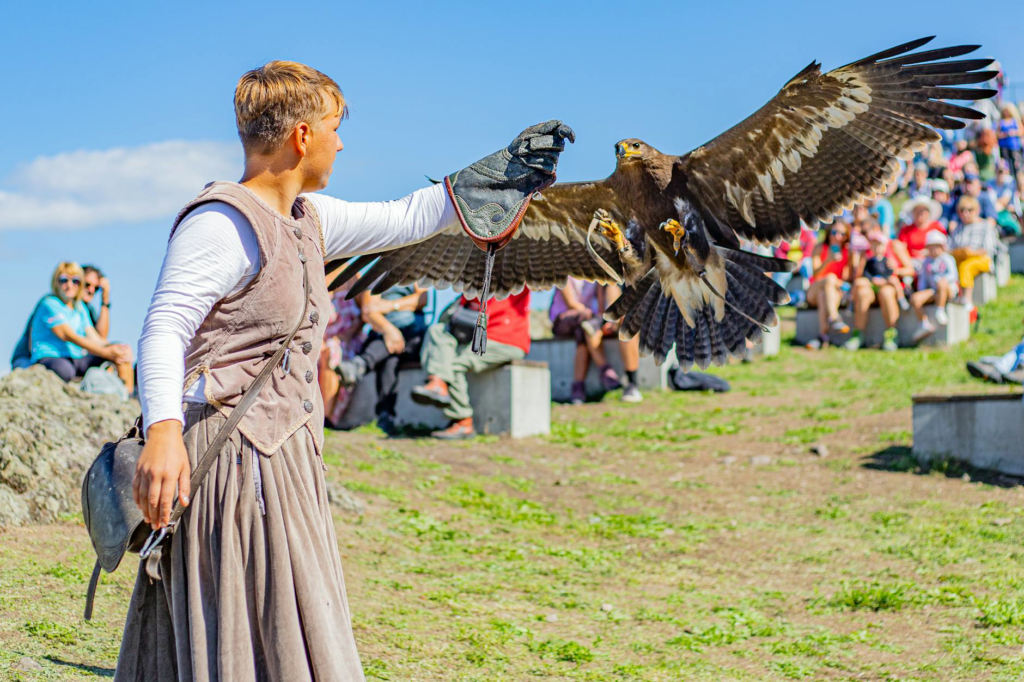 Wildlife photography ethics