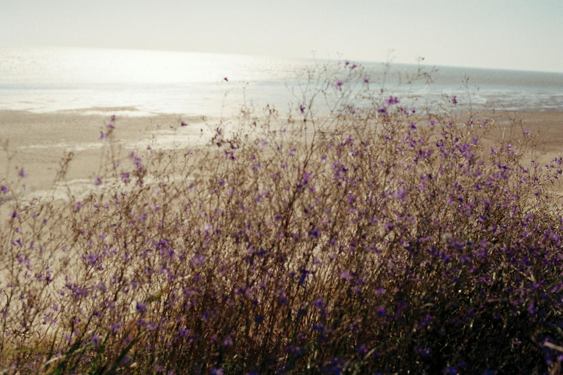 Nature photography projects